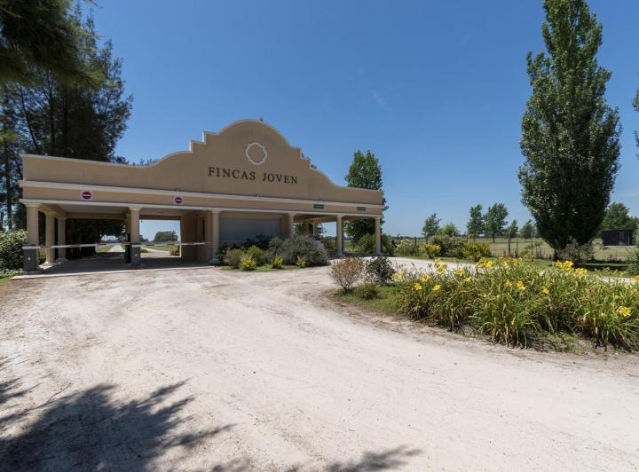 Terreno · 620m²