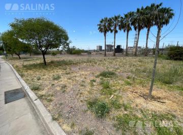 Terreno · 505m² · Terreno en Palmares Valley, Mendoza