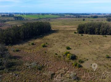 Campo · 400000m² · Campo en Rocha