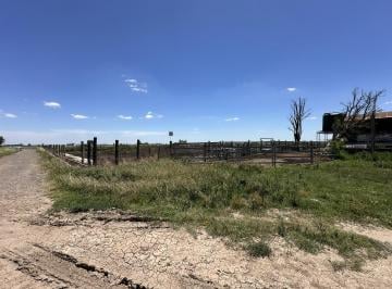Campo · 220000m² · Venta Campo en Soldini