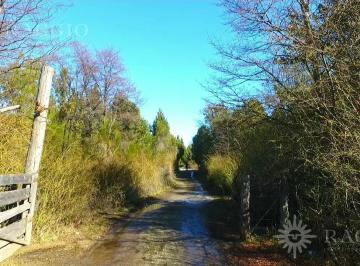 Terreno · 38000m² · Campo de 4 Hectáreas en Epuyen "El Coihue" (So - 74)