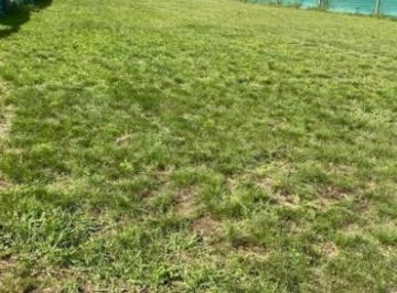 Terreno · 669m² · Adg. Excelente Lote en Santa Elena, Pilar del Este