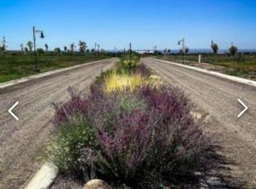Terreno , Tupungato · Zeballos Ofrece en Venta Lote Ubicado en El Hermoso Loteo Tupungato Valley.