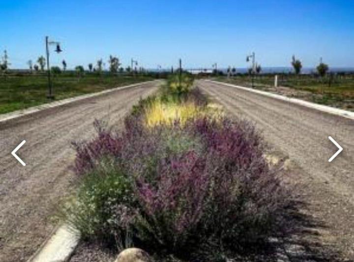 Terreno · 1000m²