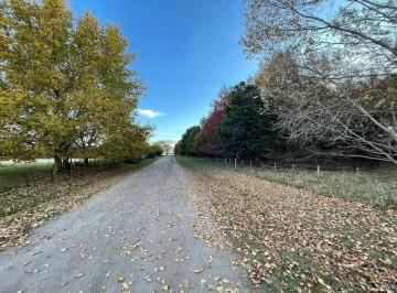 Terreno , Carmen de Areco · Venta Terreno en Chacras de La Alameda, Carmen de Areco, Prov. de Bs a