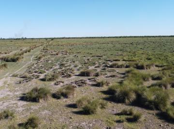 Campo · 12500000m² · Campo en Las Avispas