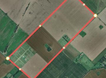 Terreno · 1550000m² · 155 Ha Excelente Campo - Suelo 1 Se Encuentra Ubicado en Ruta Interna Que Conecta Alsina y Baradero