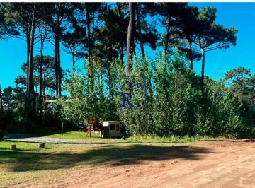 Terreno , Pinamar · Lote en Venta - Barrio Alamos - Pinamar - Ref 17