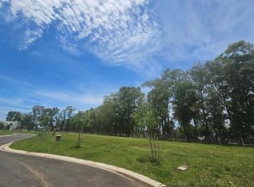 Terreno · 471m² · Terreno Lote en Venta en Santa Sofía, Pilar del Este, Pilar
