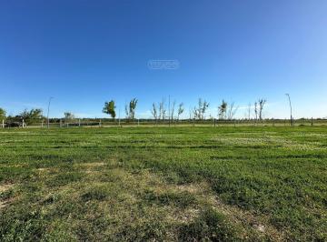 Terreno · 620m² · Terreno Lote en Venta en Nativas, Puertos, Escobar