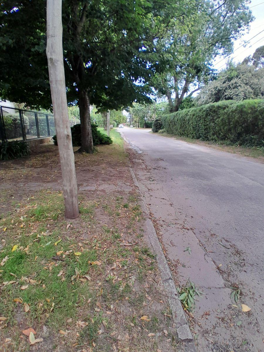 Terreno en venta ubicado en la zona de Alfar, ideal para construir la casa de tus sueños.