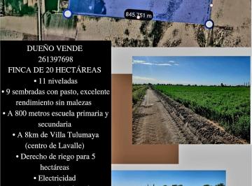 Terreno , Lavalle · Finca Lavalle con 10 Ha de Alfalfa