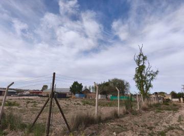 Terreno , Plottier · Alquiler Predio Apto Empresa.