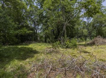 Terreno · 2376m² · Lote a La Venta en Villa Elisa