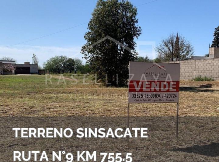 Terreno