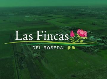 Terreno · 458m² · Terreno 458 m² Barrio Abierto Residencial Las Fincas del Rosedal Ibarlucea