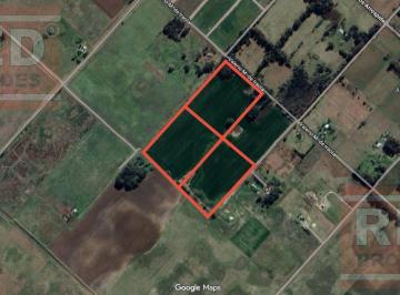 Campo · 165000m² · Campo en Saladillo