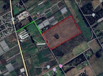 Terreno · 160000m² · 16 Hectáreas a m de Ruta 25