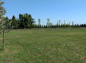 Terreno · 1015m² · Lote en Venta Ecobarrio El Retiro