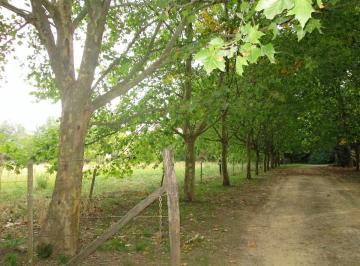 Terreno · 806m² · Terreno - San Antonio de Areco