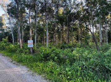 Terreno · 3000m² · Terreno en Venta en Los Bosquecitos