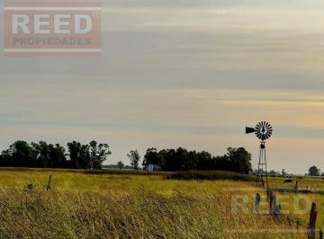 Campo · 270000m² · Campo en del Carril, Saladillo