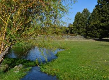 Terreno · 4300m² · Terreno Lote en Venta en San Martin de Los Andes, Patagonia, Argentina
