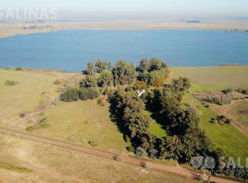 Campo · 9000000m² · Campo - Chascomus