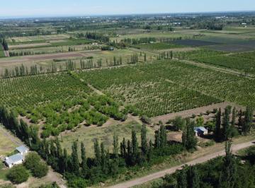 Campo · 90m² · Finca Productiva de 12 Hectáreas – Prolongación Ruta 165
