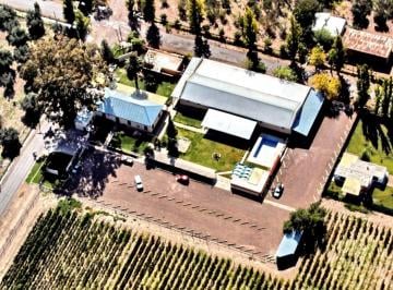 Bodega-Galpón · 1200m² · 10 Dormitorios · Greenwood Inmobiliaria Vende Bodega en Maipu