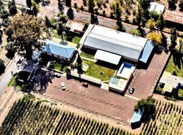 Bodega-Galpón · 1200m² · 10 Dormitorios · Greenwood Inmobiliaria Vende Bodega en Maipu
