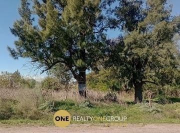 Terreno , La Plata · Lote en Venta de 360 m² La Plata