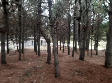 Terreno · 1000m² · Terreno en Venta San Bernardo