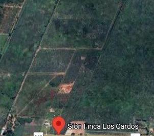 Campo · 65000m² · Campo en Mendoza, Finca Los Cardos