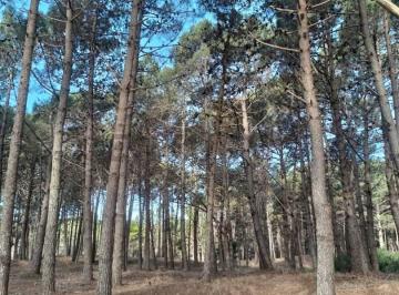 Terreno · 809m² · Venta de Lote en Villarobles - Barrio Albatros - Financiación y Permuta