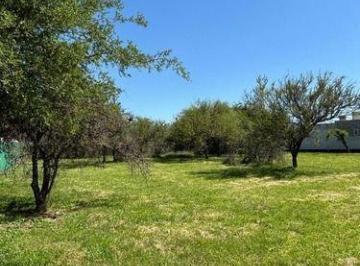 Terreno · 476m² · Villa Catalina - Terreno