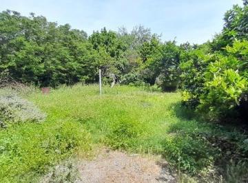 Terreno · 300m² · Terreno en Virrey del Pino