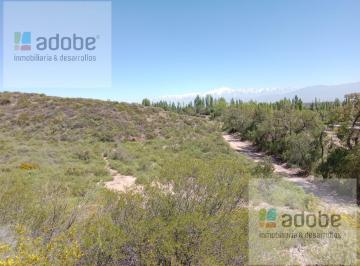 Campo · 49000ha · Finca en Venta en Lunlunta