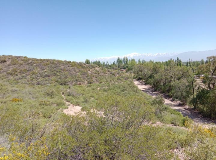 Campo · 49000ha