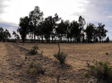 Campo · 95000m² · Campo Mendoza, San Rafael