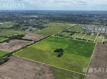 Campo · 310000m² · Fracción Ideal Desarrollo en General Rodríguez