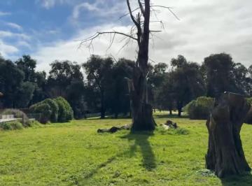 Terreno · 900m² · Terreno/lote en Barrancas de San Benito