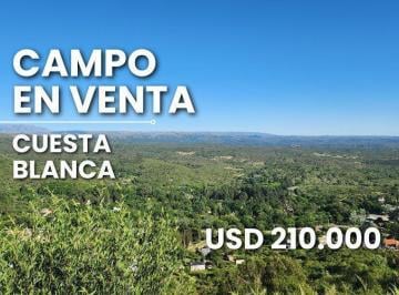 Terreno · 210000000m² · Campo en Venta en Icho Cruz Cuesta Blanca