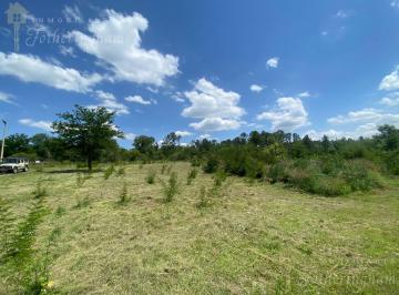 Terreno · 1000m² · Exclusivo Lote Esquina en Venta | Zona La Olla | Valle de Calamuchita