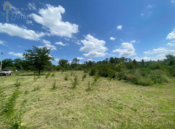 Terreno · 1000m²