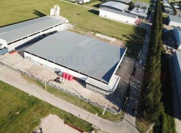 Bodega-Galpón · 5880m² · Nave de 5.880 m² con Excelente Estructura en El Polo Ezeiza