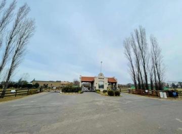 Terreno · 1100m² · Rbs. Venta Lote Interno Central en El Barrio Los Palenques