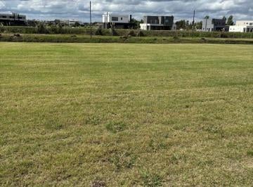Terreno · 800m² · Terreno en El Naudir