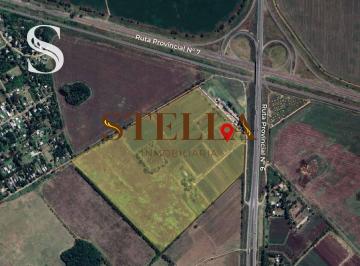 SIA-SIA-376_2 · 33 Hectáreas en Venta - Ruta 6 Km