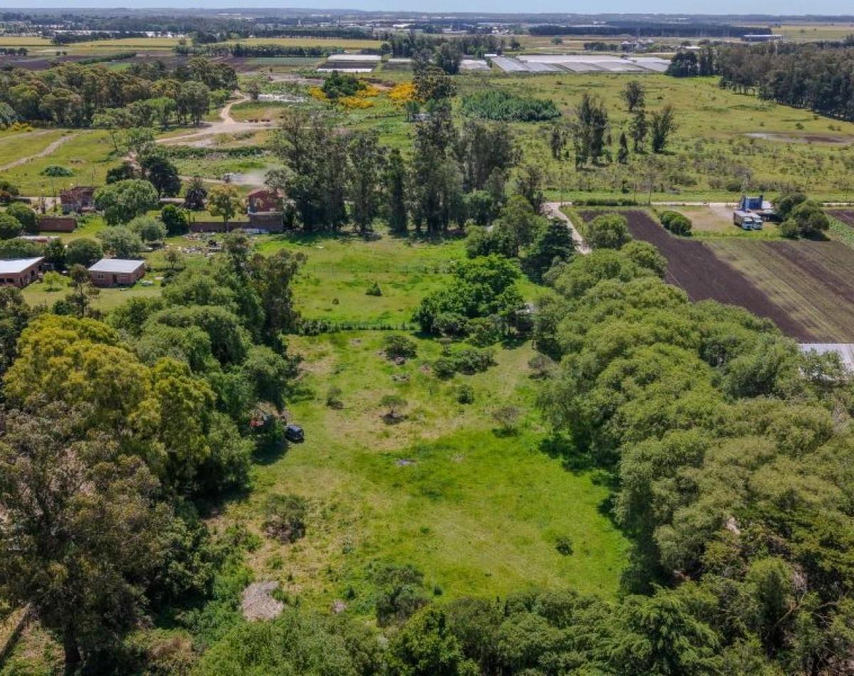 Se ofrecen a la venta cuatro lotes en Parque Palermo, 8055 m²